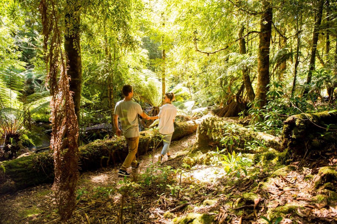 סמית'טון Tall Timbers Tasmania מראה חיצוני תמונה